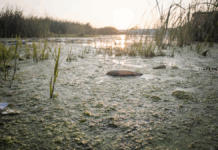 There’s something in the water. Khayelitsha’s kids want you to see it