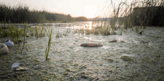 There’s something in the water. Khayelitsha’s kids want you to see it